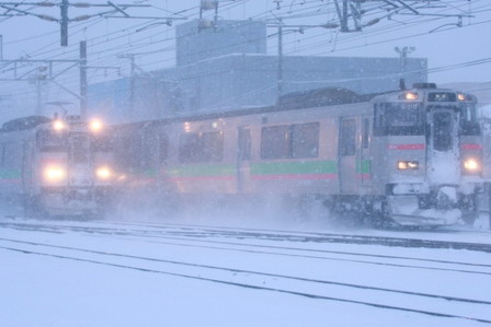 さよなら 旭山動物園号