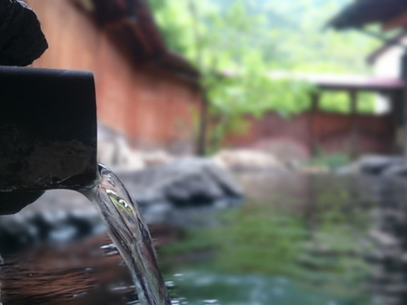 ブラタモリ 強羅温泉